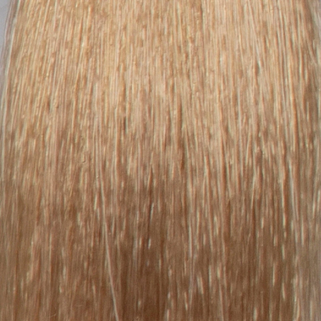 SPS Tint 12.03 Extra Light Golden Blonde 100ml 4 SPS Tint 12.03 Extra Light Golden Blonde 100ml - Image 2