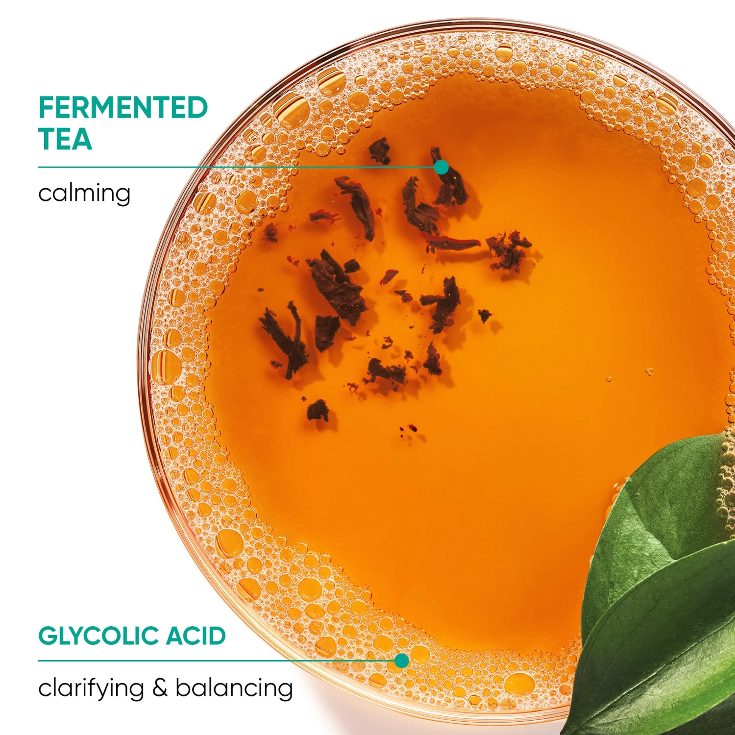 Biolage Scalp Sync Oil Balancing Serum 50ml 7 Biolage Scalp Sync Oil Balancing Serum 50ml - Image 5