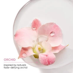 Biolage ColorLast Conditioner 400ml 10 Biolage ColorLast Conditioner 400ml -Goldwell Shop 957688 biolage colorlast 400ml duo pack 5 1