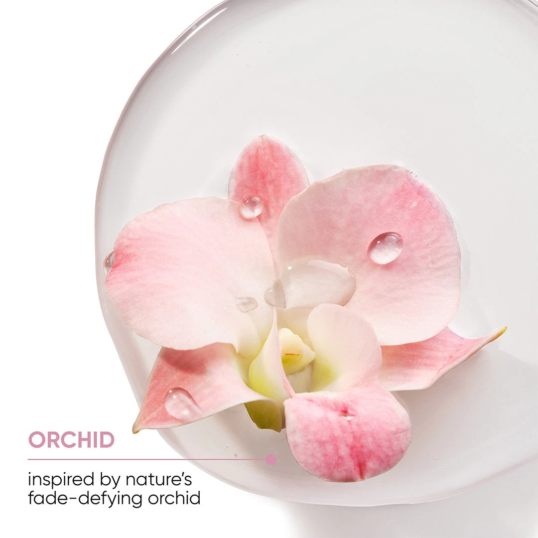 Biolage ColorLast Conditioner 400ml 6 Biolage ColorLast Conditioner 400ml - Image 4