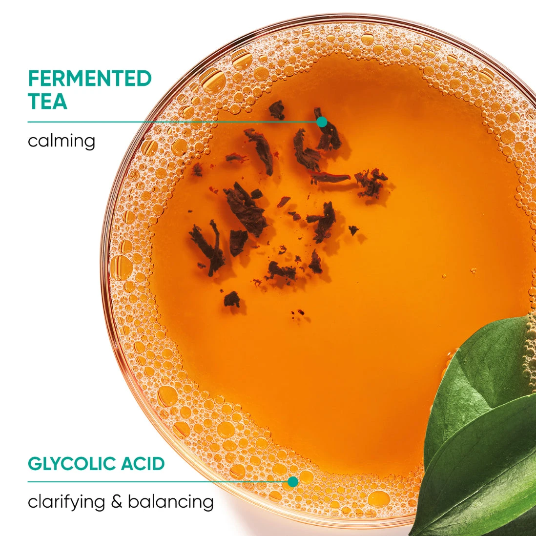 Biolage Scalp Sync Clarifying Shampoo 400ml 4 Biolage Scalp Sync Clarifying Shampoo 400ml - Image 2