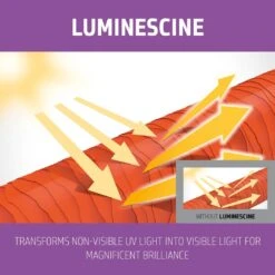 Goldwell Dualsenses Blonde Brilliance Serum Spray 150ml 7 Goldwell Dualsenses Blonde Brilliance Serum Spray 150ml -Goldwell Shop GW DS B H Images BrillianceSerumSpray150ml 206120XA Image3 PT02 916754