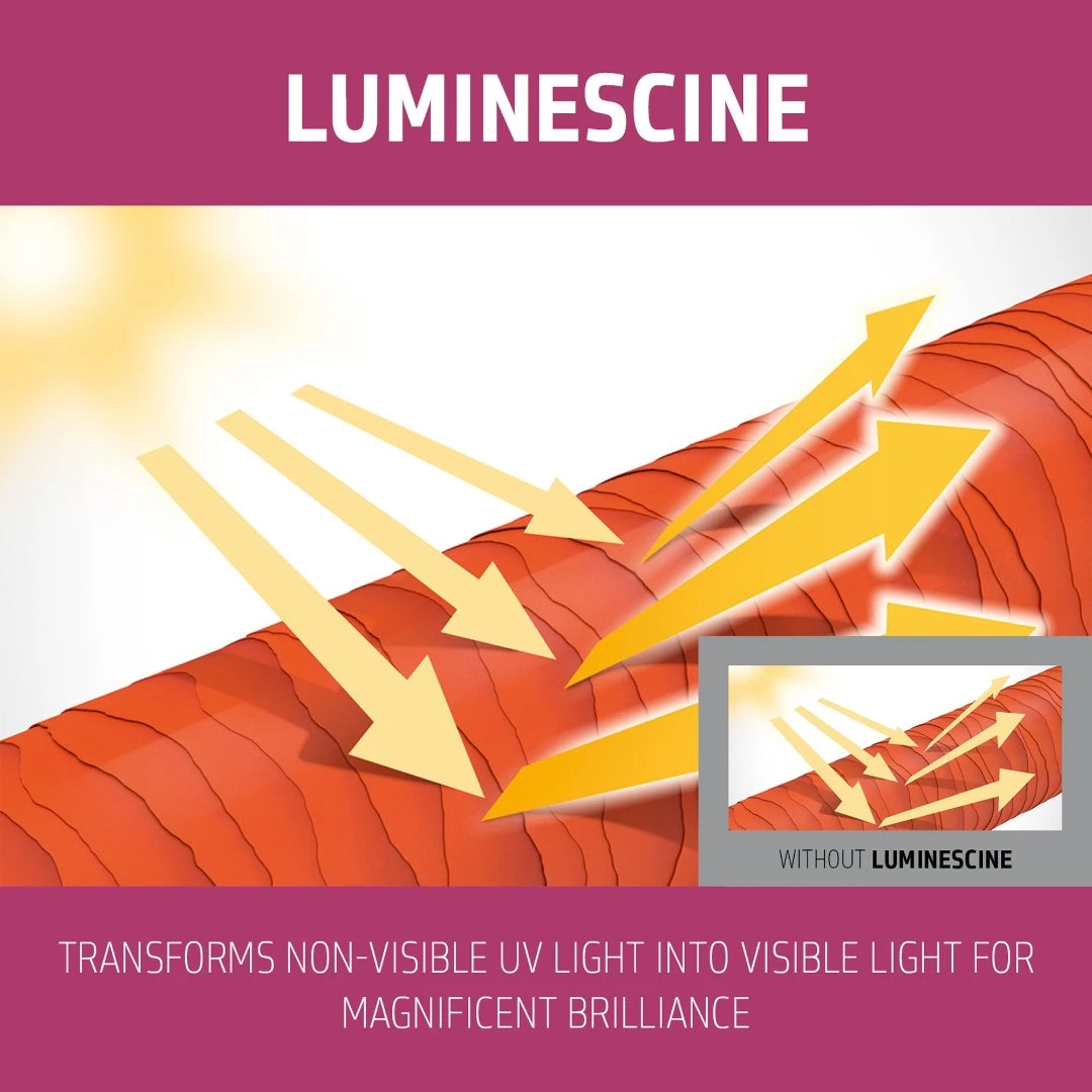 Goldwell Dualsenses Color Extra Rich Brilliance Shampoo 300ml 5 Goldwell Dualsenses Color Extra Rich Brilliance Shampoo 300ml - Image 3