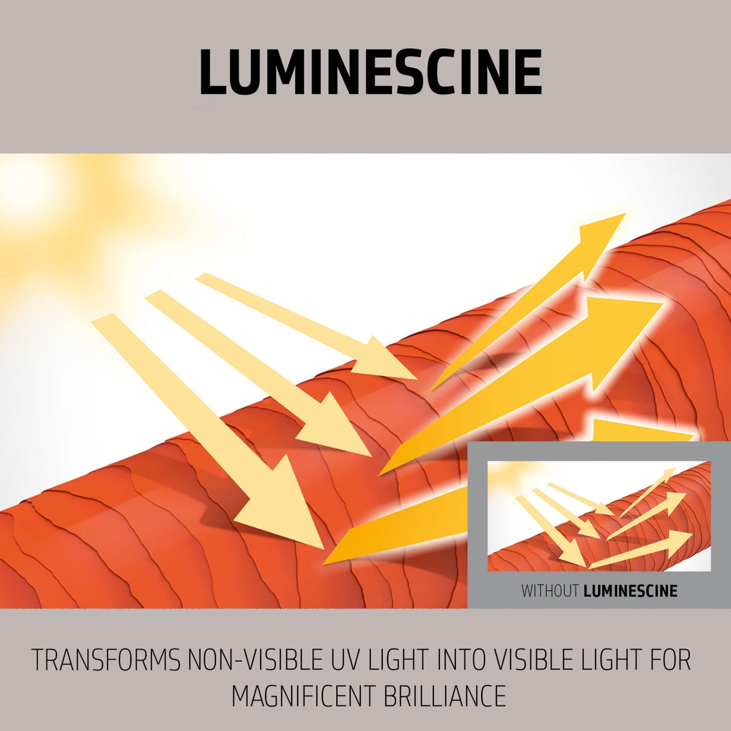 Goldwell Dualsenses Silver Shampoo 300ml 5 Goldwell Dualsenses Silver Shampoo 300ml - Image 3