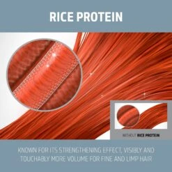 Goldwell Dualsenses Ultra Volume Bodifying Conditioner 300ml -Goldwell Shop GW DS UV Images BodifyingConditioner300ml Image3 PT02