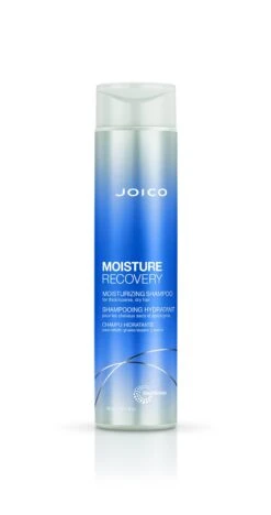 Joico Moisture Recovery Shampoo 300ml