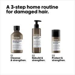 L'Oreal Professionnel Absolut Repair Molecular Leave In Mask 100ml -Goldwell Shop Rinse OffRoutine