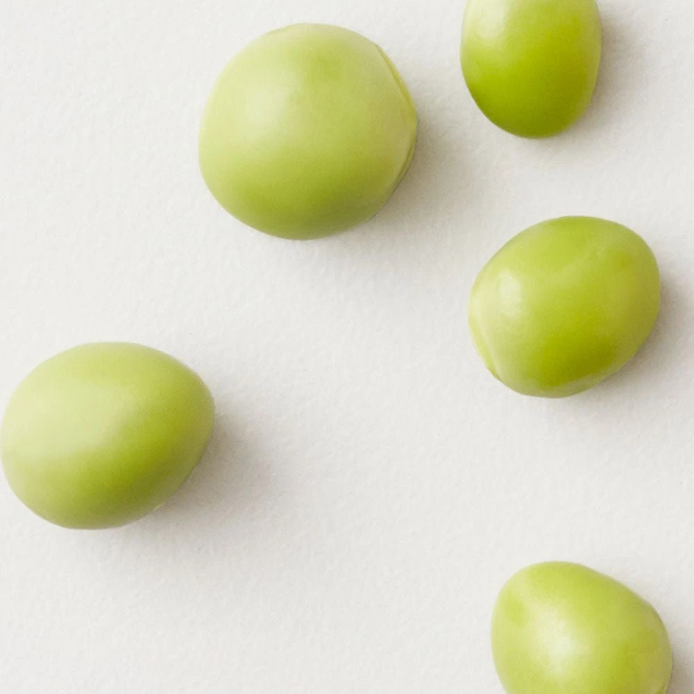 AG Care Curl Fresh Curl Enhancing Shampoo 355ml 7 AG Care Curl Fresh Curl Enhancing Shampoo 355ml - Image 5