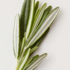 AG Care Stucco Matte Clay Paste 75ml -Goldwell Shop ag care stucco matte clay paste 5 750195