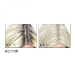 Color WOW Mineral Powder Root Cover-Up Platinum 2.1g 7 Color WOW Mineral Powder Root Cover-Up Platinum 2.1g -Goldwell Shop color wow root cover up platinum 3