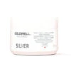 Goldwell Dualsenses Color Silver 60 Second Treatment 200ml -Goldwell Shop goldwell dualsenses color silver 60 second treatment 200ml
