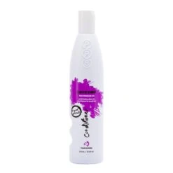 PPS Classic Blonde Conditioner 375ml